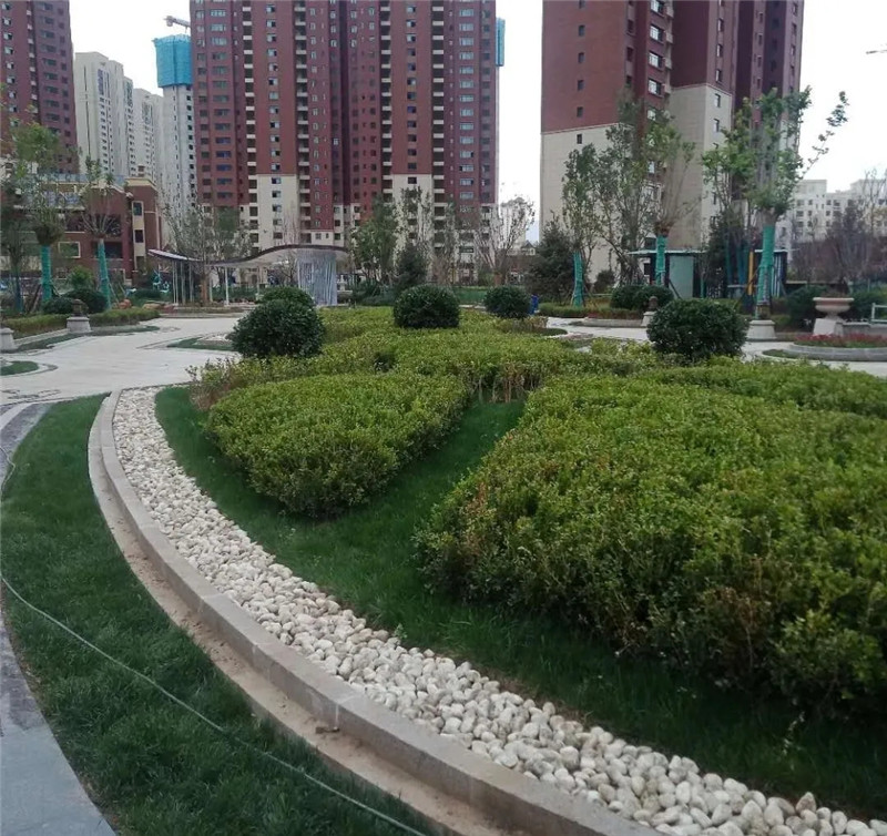 202010011601515486162703.jpg 640.webp (4).jpg